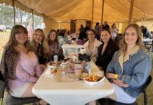 She-wolves’ pop of purple