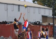 Heritage Day for the Saints