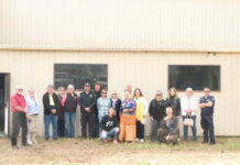 New lease on life for Nanango Blue Light