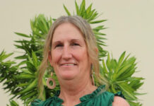 Reports to shed more light on council’s grants