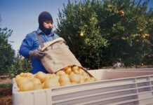 A ‘Seasonal’ exhibition