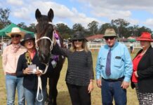 GALLERY: Sun and fun at Wondai Show
