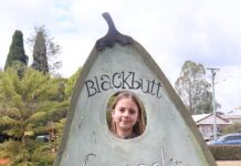 GALLERY: An avo-good time