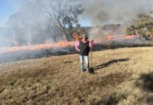 Building resilience through bushfire preparedness workshops