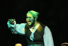 MEGA GALLERY: M.A.D for Shrek