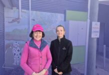 ‘At cost’ cat, dog adoption fees