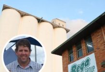 New hope for Burnett peanuts as Crumpton buys PCA