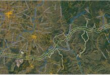 Power line plans target Burnett forests