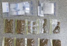 Woman to face drug trafficking charges