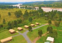 Fight is on to save Mingo park