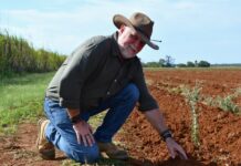 Workshops focus on Burnett drought resilience