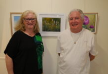 Wondai gallery unveils diverse November exhibitions