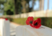 Floral restrictions for cemeteries