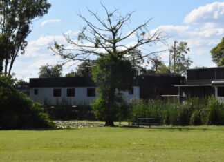 Carparking to be established at duck pond park