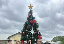 Gayndah’s tree is up