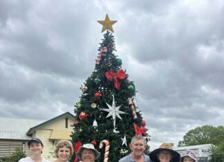 Gayndah’s tree is up