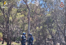 Mum saves the day: teen hiker rescued