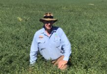 Herbicide resistance and winds