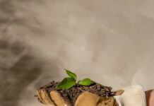 Eidsvold S. S. agricultural gateway