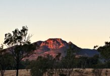 NB’s natural beauty