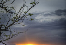 Best pics from Burnett’s photographers