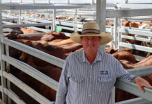 Biggenden’s first 2026 sale