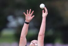 Sippel’s Tigers trail in losses to Fire