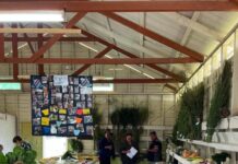 Cooyar’s packed show schedule