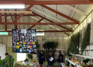 Cooyar’s packed show schedule