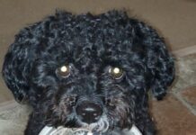 Mac always wants some more