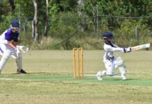 A scorpions showdown