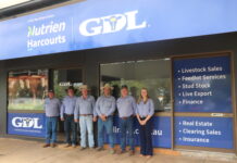 Kingaroy joins GDL family