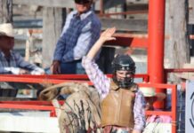 Gayndah’s rodeo action