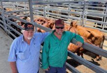 Two sales for Biggenden