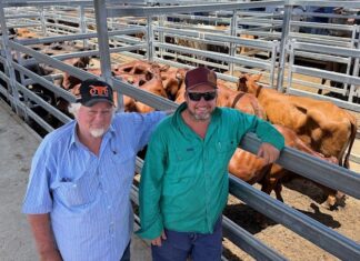 Two sales for Biggenden