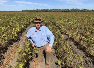 Mysteries of inoculation