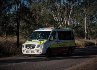 Man critical after kangaroo crash
