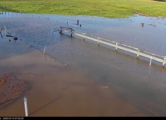 Council’s plan to get disaster-ready