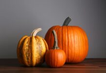 New pumpkin pavilion for iconic festival