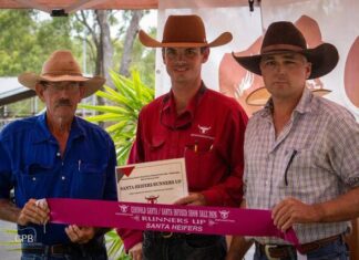 Show and sale success