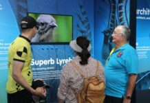 Trails of discovery: Murgon