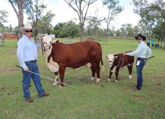 Show promises plenty