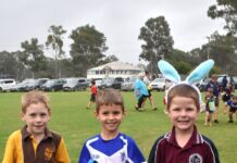 Stags on an egg hunt